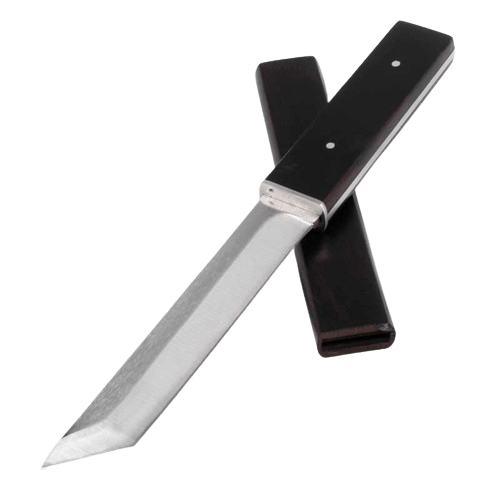 MEDIEVAL DEPOT Masterfully Crafted Full Tang Japanese Tanto Dagger