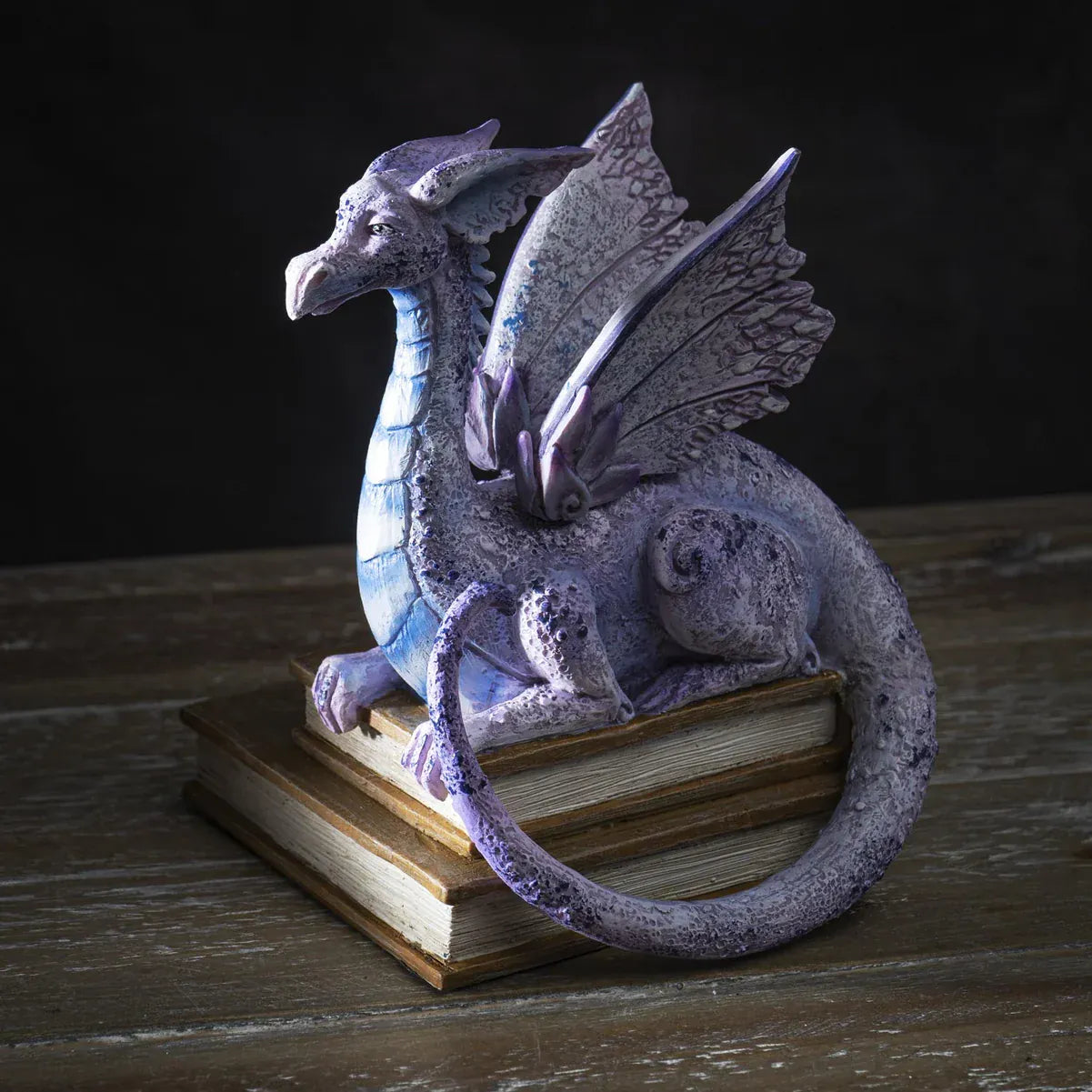 PACIFIC TRADING Story Time Purple Dragon On Books