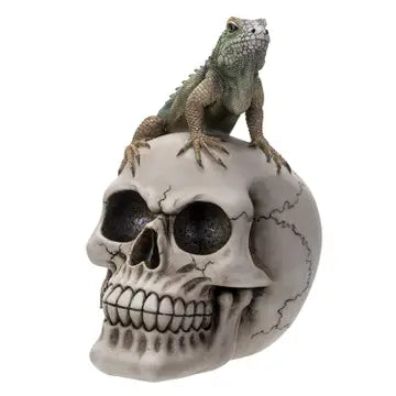 PACIFIC TRADING Iguana-Topped Skull