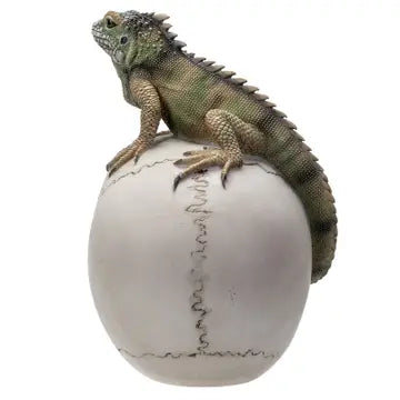 PACIFIC TRADING Iguana-Topped Skull