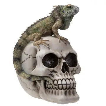 PACIFIC TRADING Iguana-Topped Skull