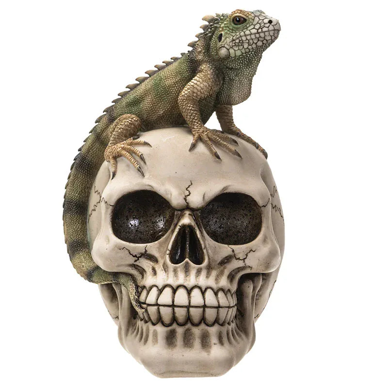 PACIFIC TRADING Iguana-Topped Skull