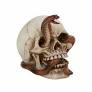 PACIFIC TRADING Mini Cobra Skull Sculpture