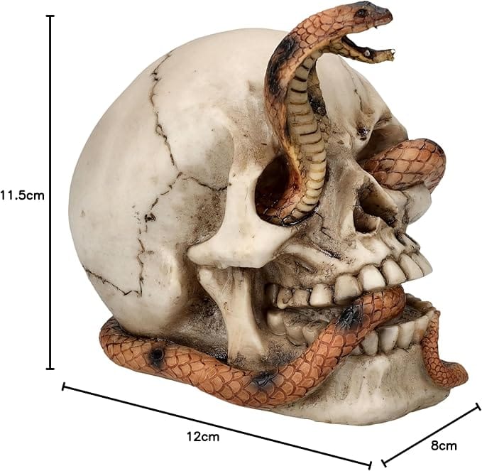 PACIFIC TRADING Mini Cobra Skull Sculpture