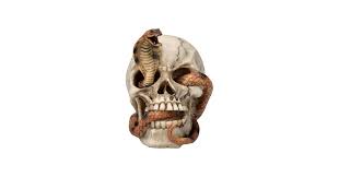 PACIFIC TRADING Mini Cobra Skull Sculpture