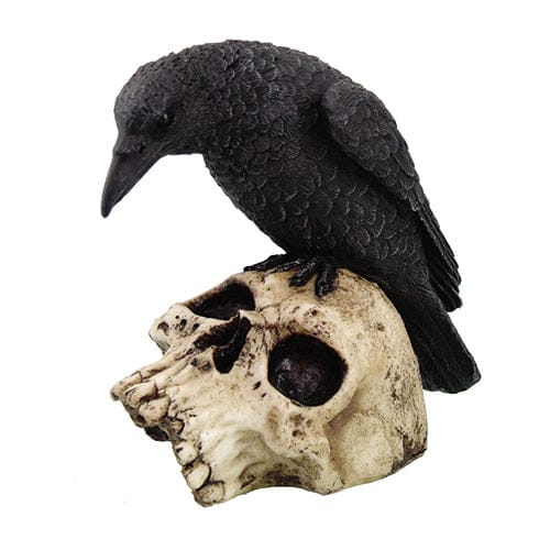 PACIFIC TRADING Raven On Skull 9786