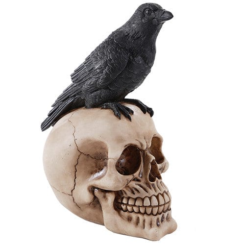 PACIFIC TRADING Raven On Skull Head 11449