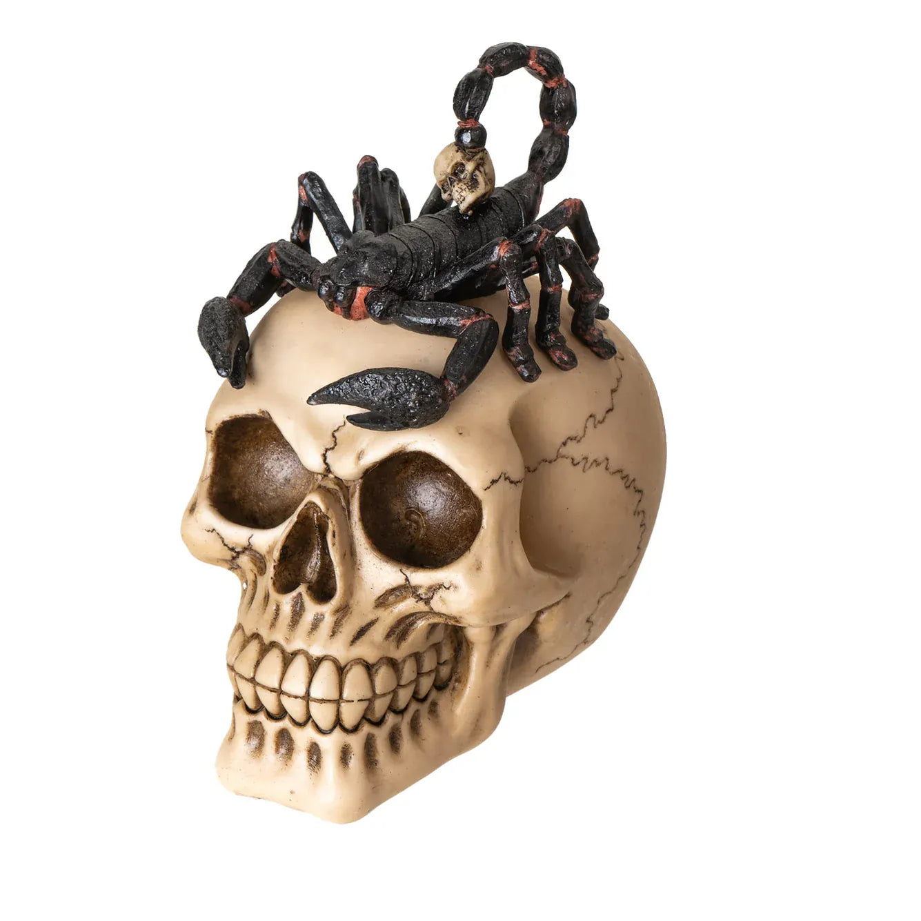 PACIFIC TRADING Scorpion-Topped Skull