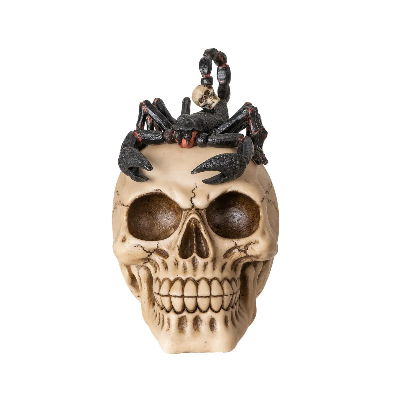 PACIFIC TRADING Scorpion-Topped Skull