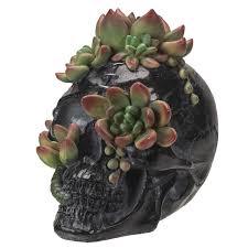 PACIFIC TRADING Skull with Succulents