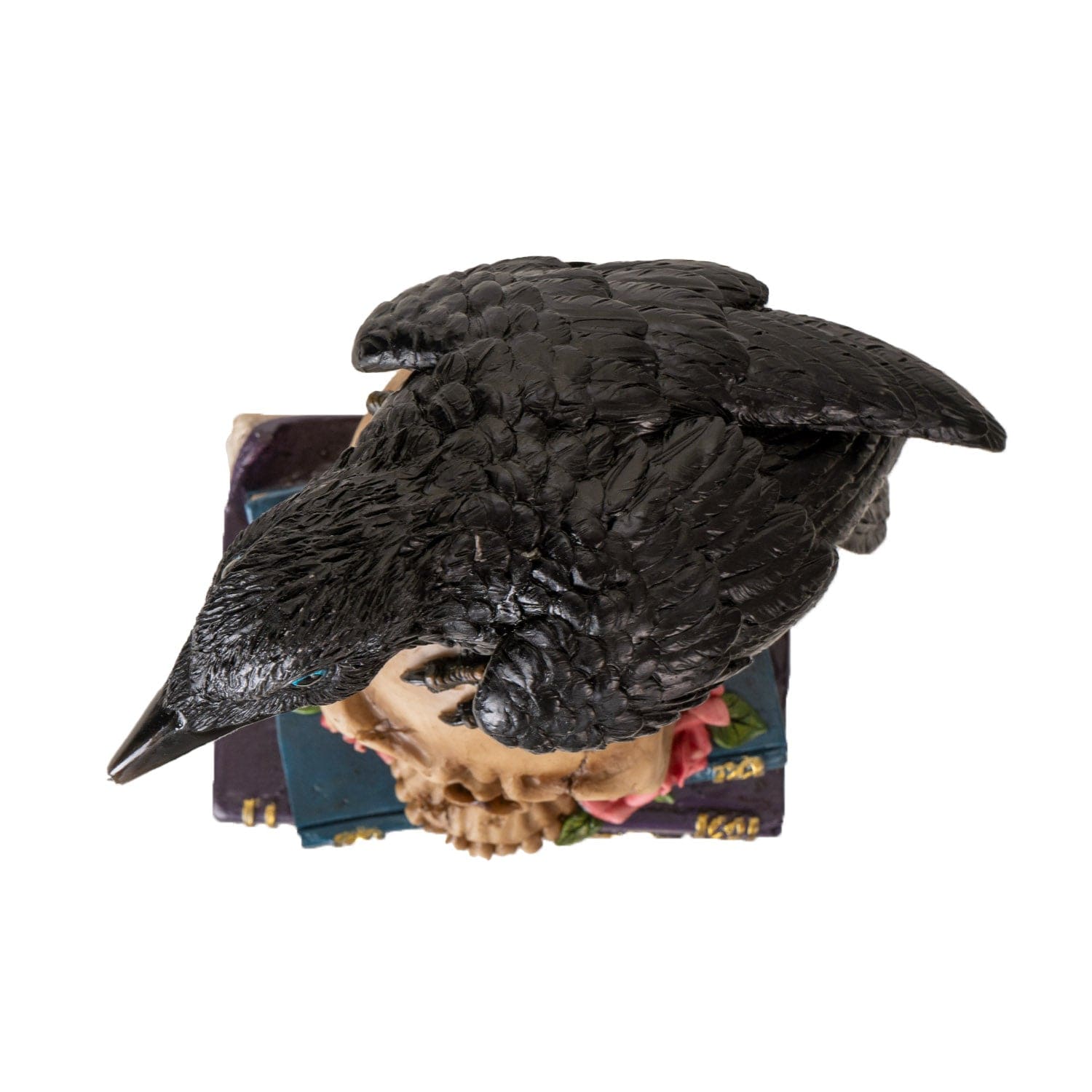 PACIFIC TRADING The Raven On Skull/Books 16002