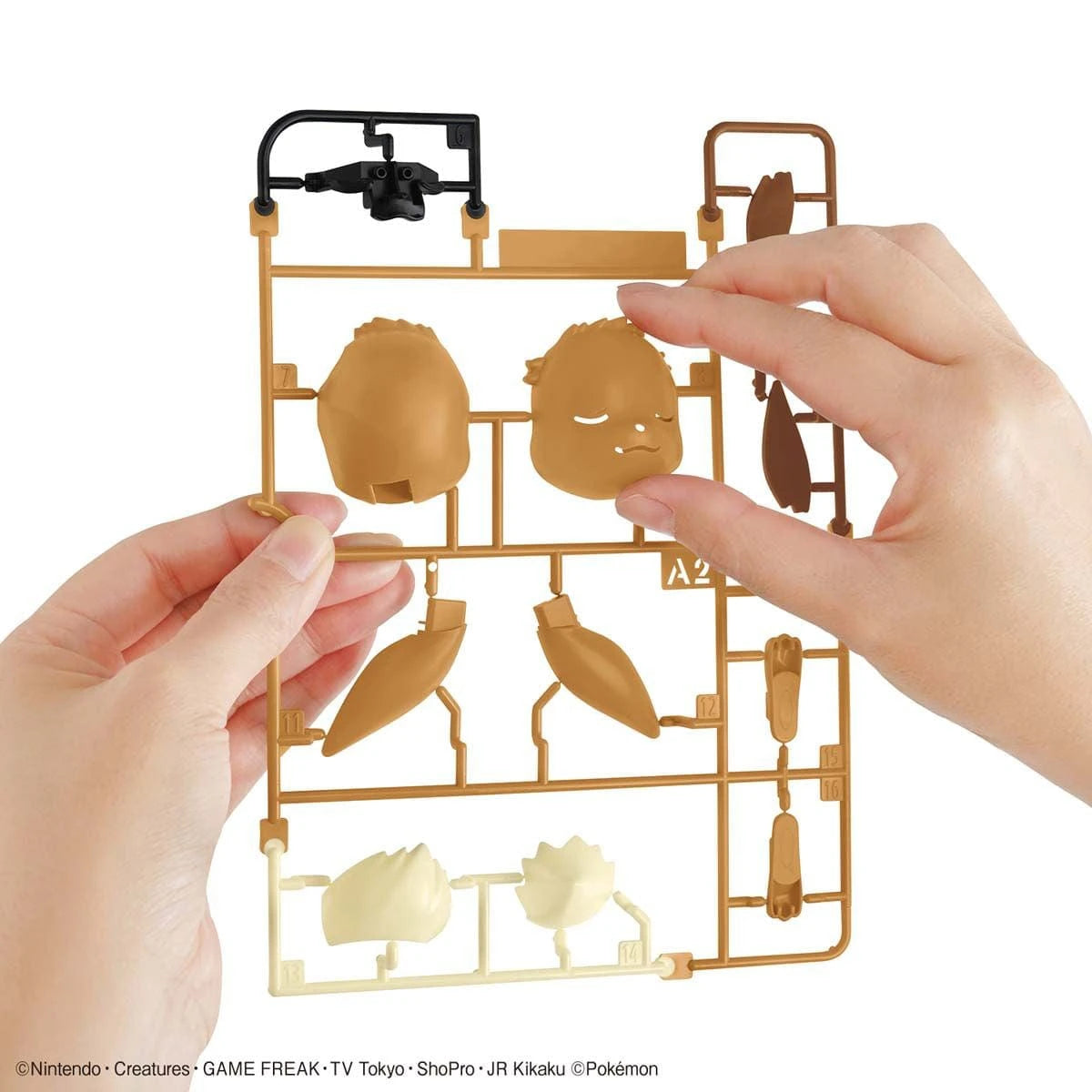 Plamod Pokémon 'Eevee (Sleeping )' Model Kit