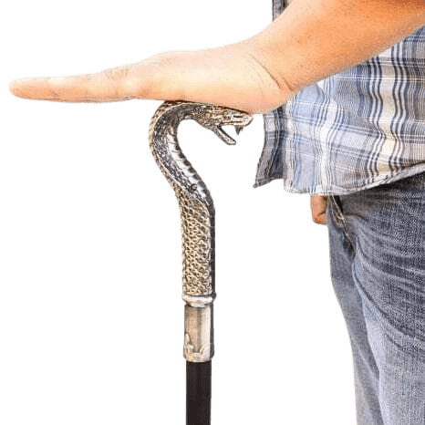 The Lair Gunmetal Cobra Cane-Sword